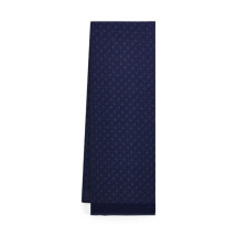 [Salvatore Ferragamo] Scarf FW26 520187795565001