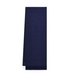 [Salvatore Ferragamo] Scarf FW26 520187795565001