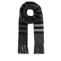 [Burberry] Scarf FW26 8117706 C3384