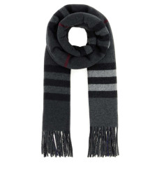 [Burberry] Scarf FW26 8117706 C3384
