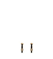 [Fendi] Earring SS26 8AL216TL9F0A1F