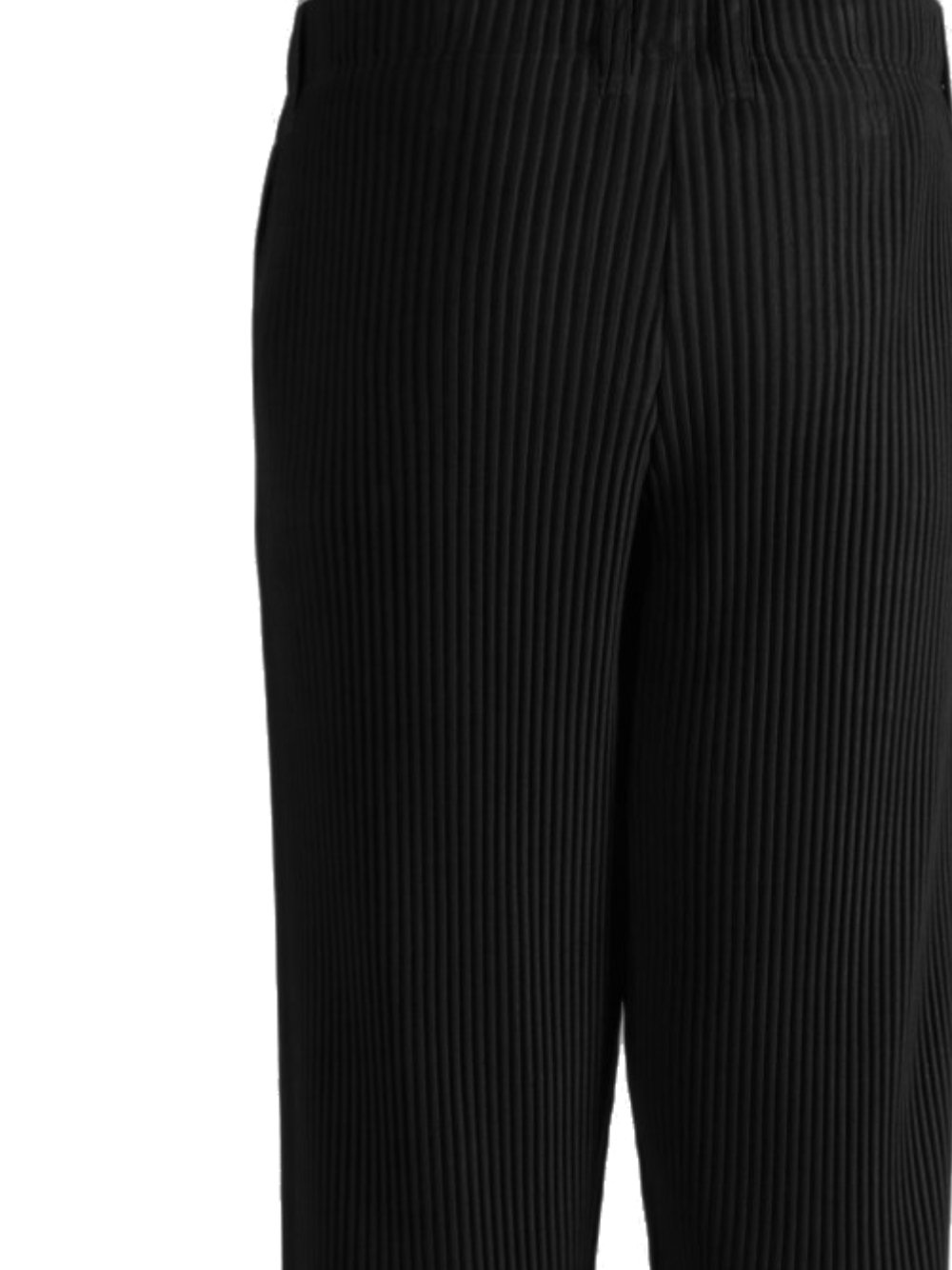 [Issey Miyake] Trousers SS26 HP66JF15815