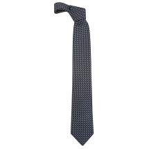 [BRIONI] Tie SS26 O61D00PD40F4049