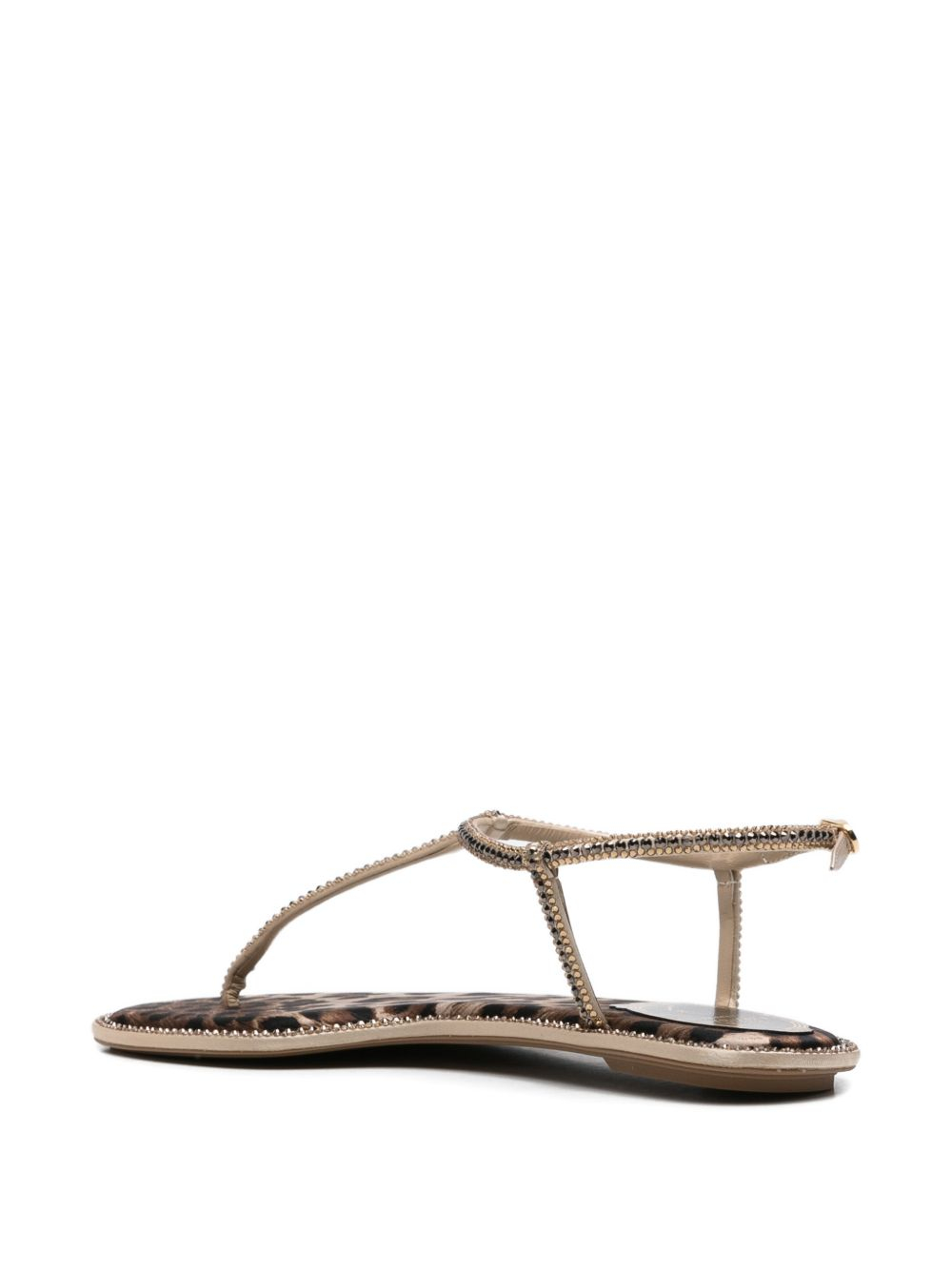 [RENÉ CAOVILLA] Slippers FW26 C09375-010R001Y450