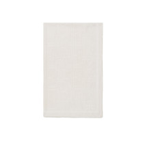 [ELISABETTA FRANCHI] Scarf FW26 SC03F66E2193