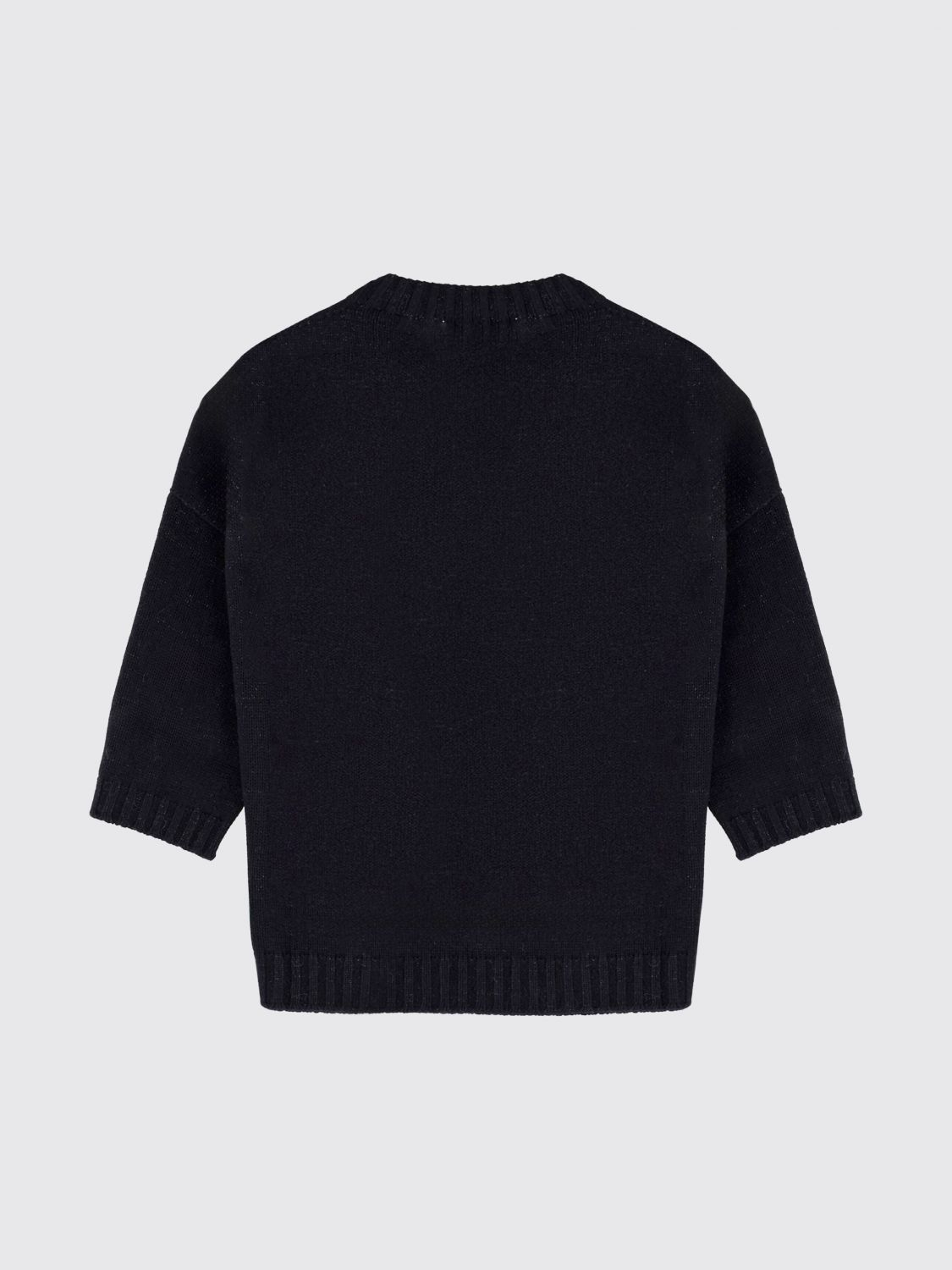 [Fabiana Filippi] Knitwear SS26 MAD266F019L897 5146