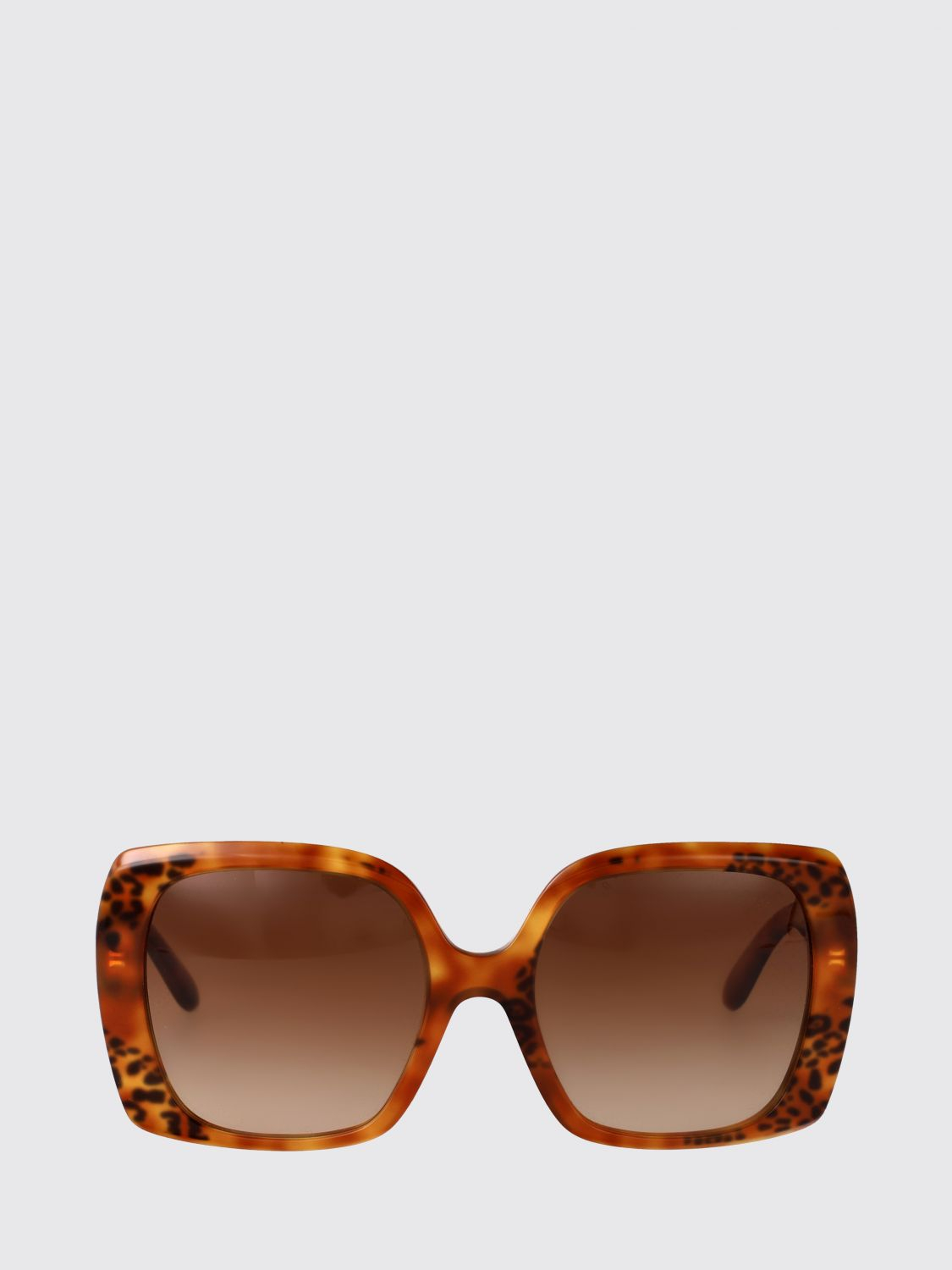 [Dolce & Gabbana] Sunglasses SS26 0DG4475 338013