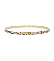 [Valentino Garavani] Belt FW25 7W0T0SU1CJQ_DN1