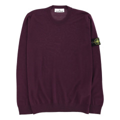 [Stone Island] Sweatshirt FW25 5100071_S00C4V0017