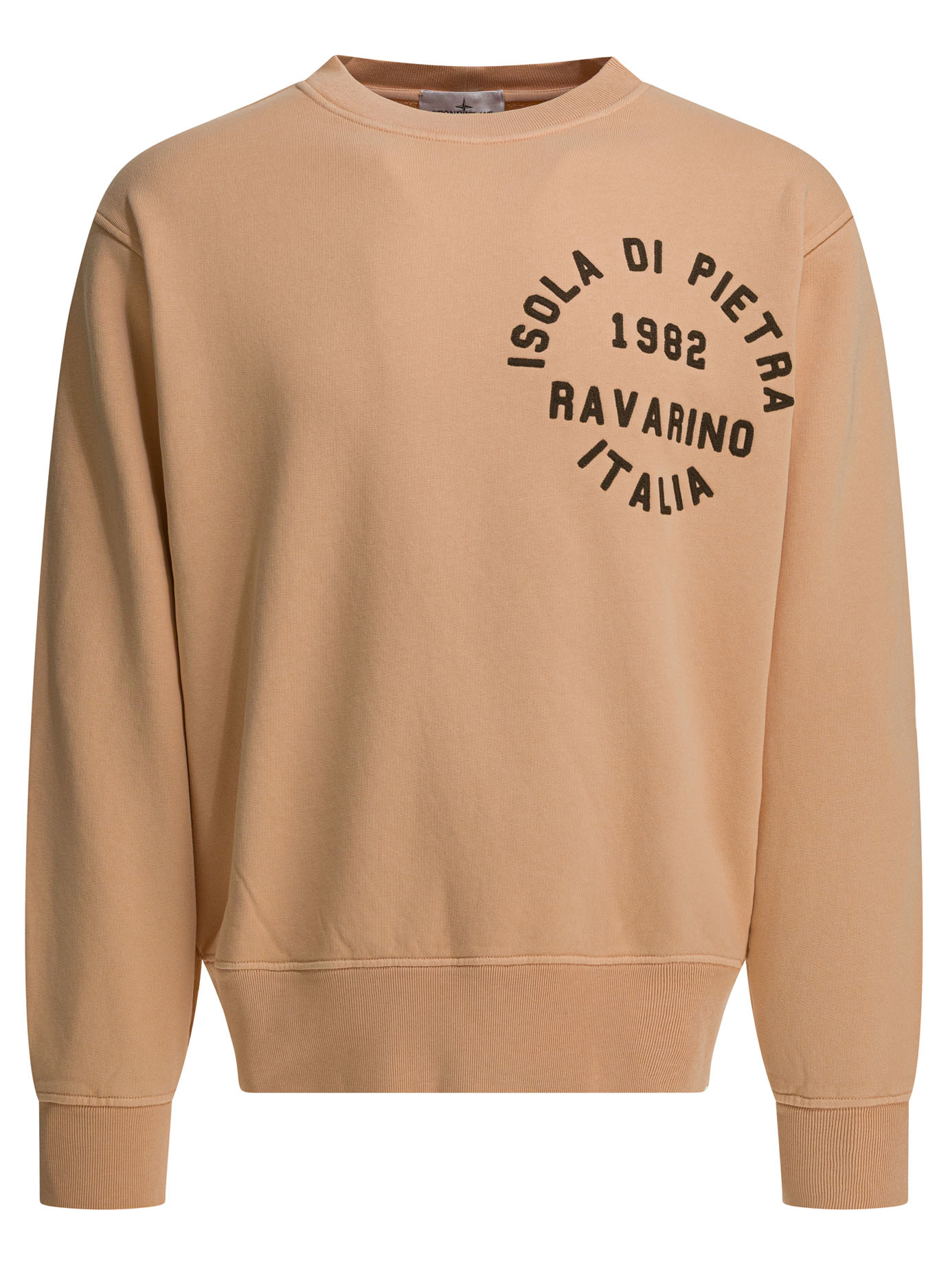 [Stone Island] Sweatshirt SS26 6100003S0291V008E