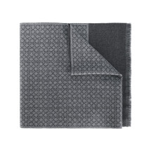 [Salvatore Ferragamo] Scarf FW26 527047671684003