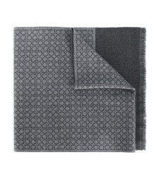 [Salvatore Ferragamo] Scarf FW26 527047671684003