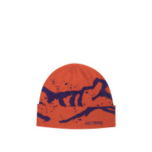 [ARC'TERYX] Beanie SS26 X000010067GROTTO TQDINASTY/AZALEA