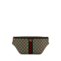[Gucci] Belt Bag FW26 839104FAEOF 9745