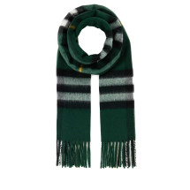 [Burberry] Scarf FW26 8094653 A9545
