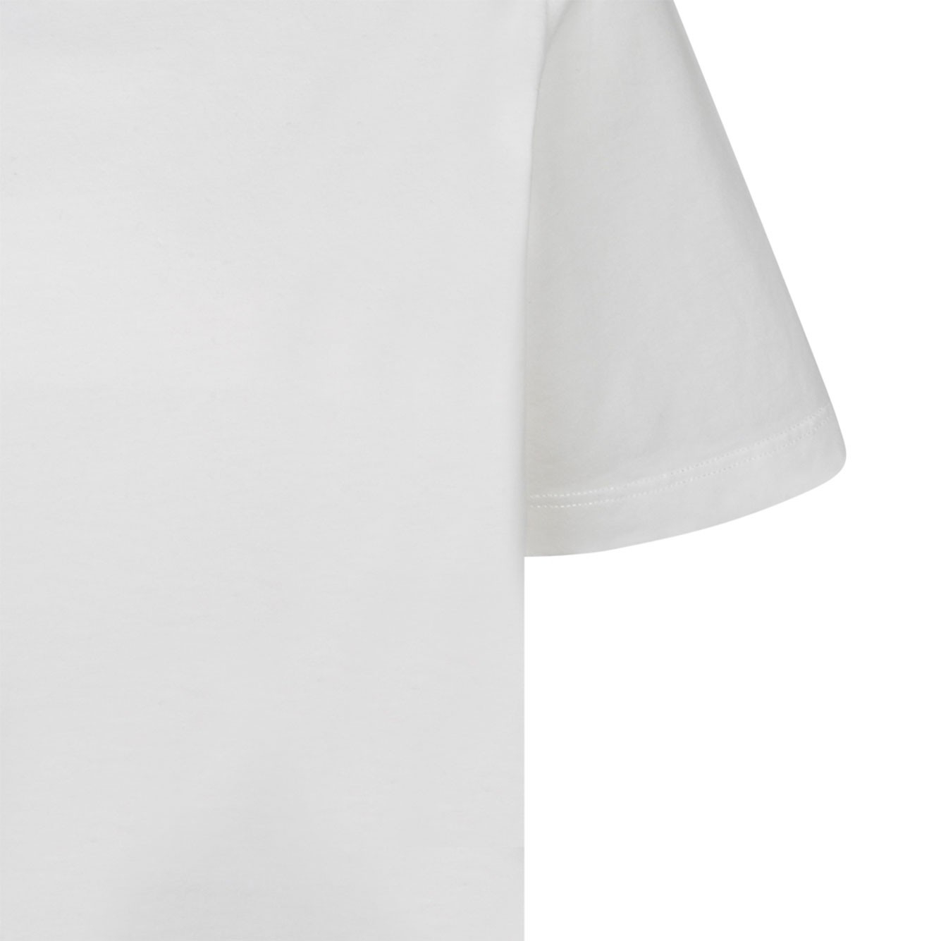 [Golden Goose] T-shirts Short Sleeve CO GWP01220P00067310363-VINTAGE