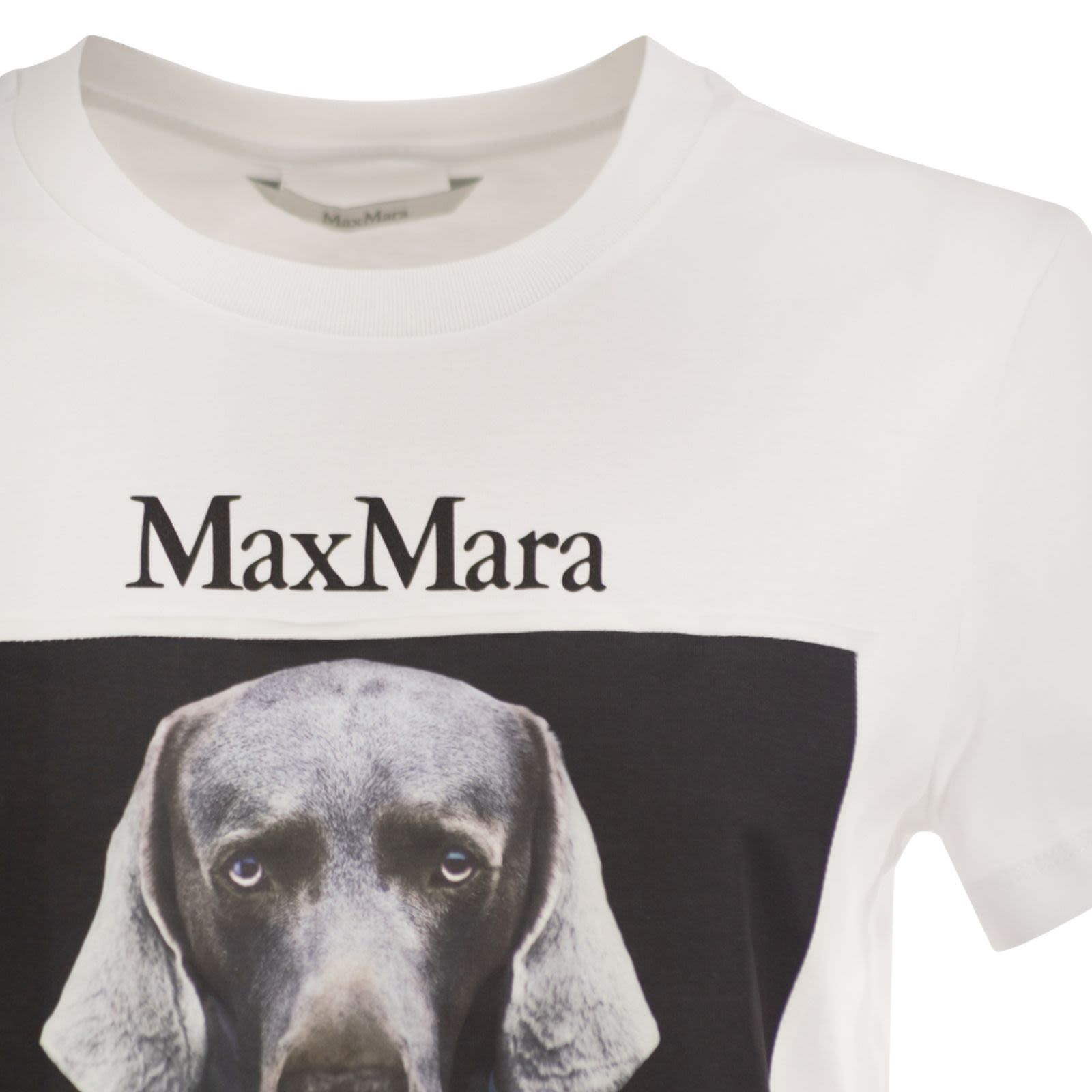 [MaxMara] T-shirts Short Sleeve FW26 2621946071600 009