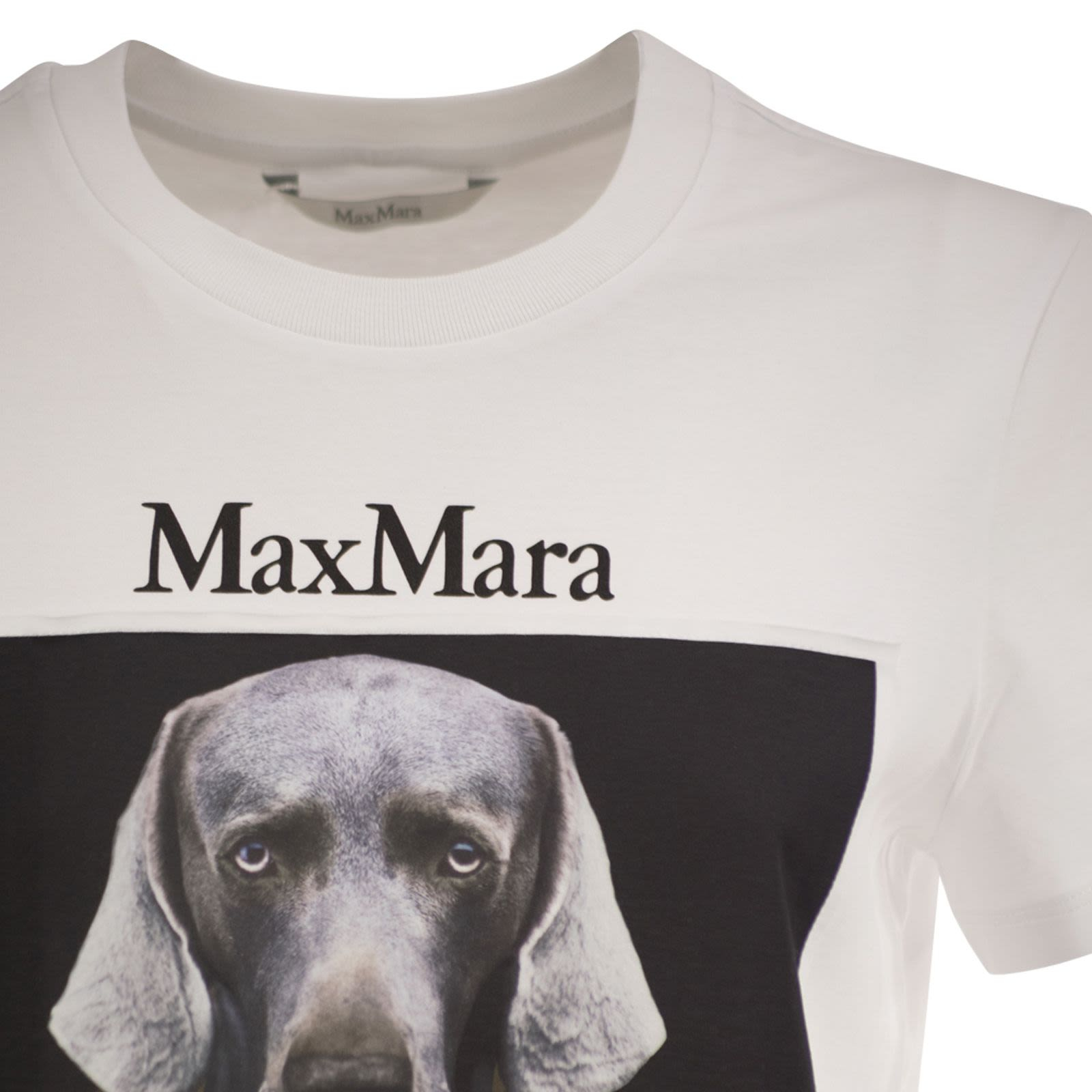 [MaxMara] T-shirts Short Sleeve FW26 2621946071600 010