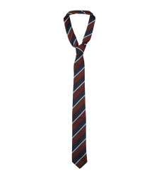 [THE FRANKIE SHOP] Fashion Accessory SS26 NTFS21170711BURGUNDY
