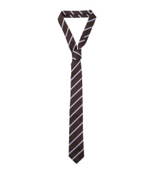 [THE FRANKIE SHOP] Fashion Accessory SS26 NTFS21170200BROWN
