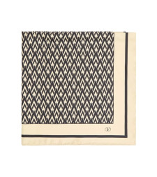 [Valentino Garavani] Scarf SS26 8Y2EK008DRQ_REX