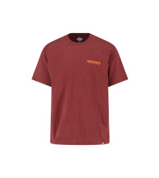 [DICKIES] T-shirts Short Sleeve FW25 DK0A87QIL161