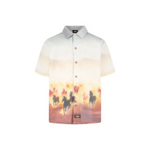 [DICKIES] Shirts Short Sleeve SS25 DK0A8676K411