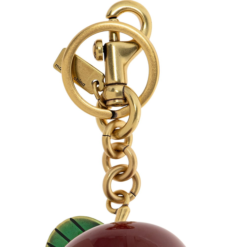 [COACH] Keyring FW26 CY399  MULTI