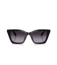 [Emporio Armani] Sunglasses FW25 0EA4250U50178G54