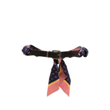 [Etro] Belt FW26 AK19L WP3B0104 X0883