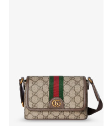 [Gucci] Belt Bag FW26 838599FAEOF9745