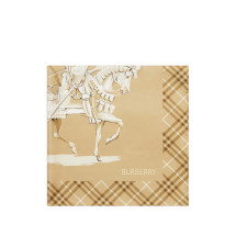 [Burberry] Scarf SS26 8125815X