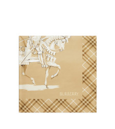 [Burberry] Scarf SS26 8125815X
