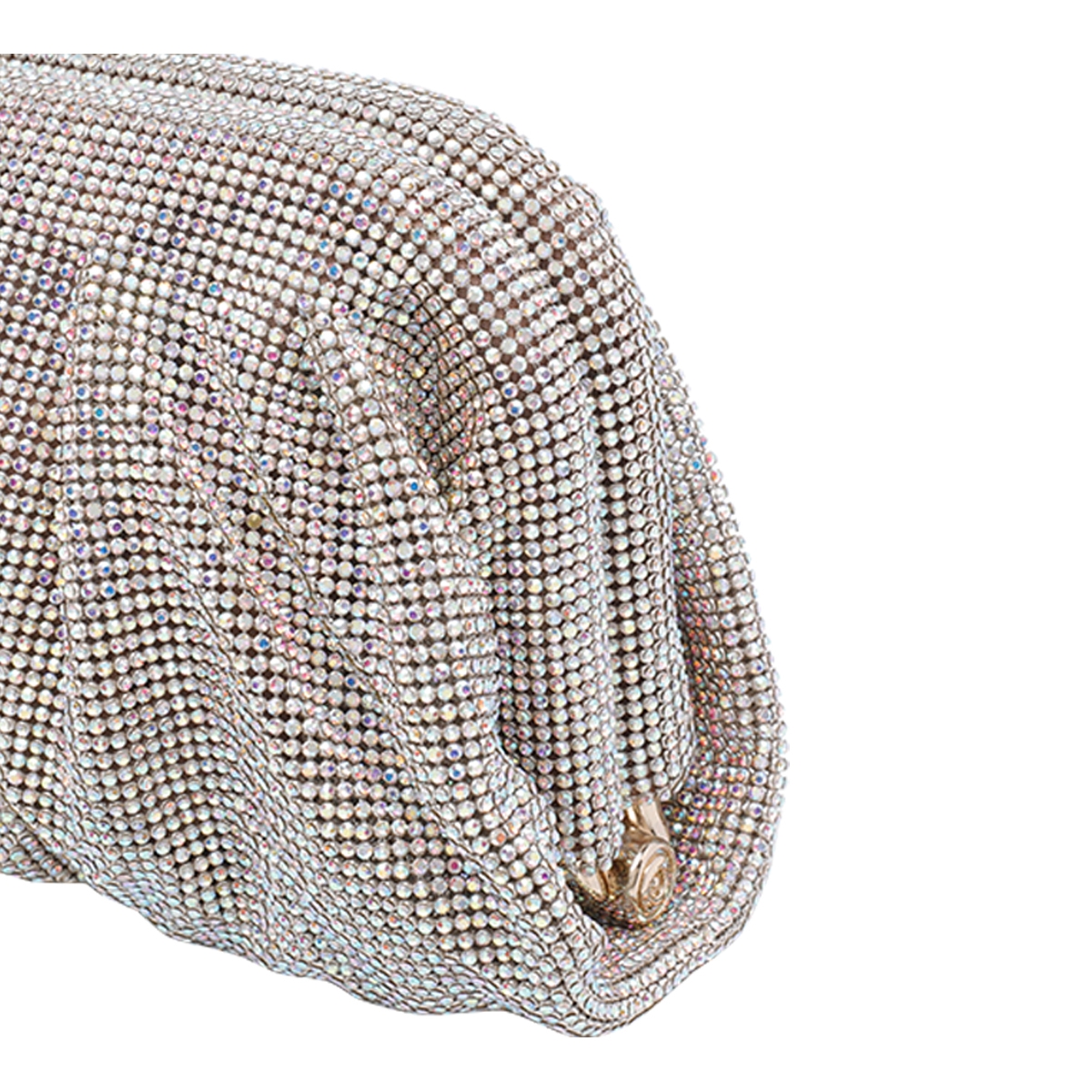 [Benedetta Bruzziches] Clutch bag SS26 011161