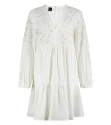 [PINKO] Long sleeve dress SS25 105008A2H0_Z05