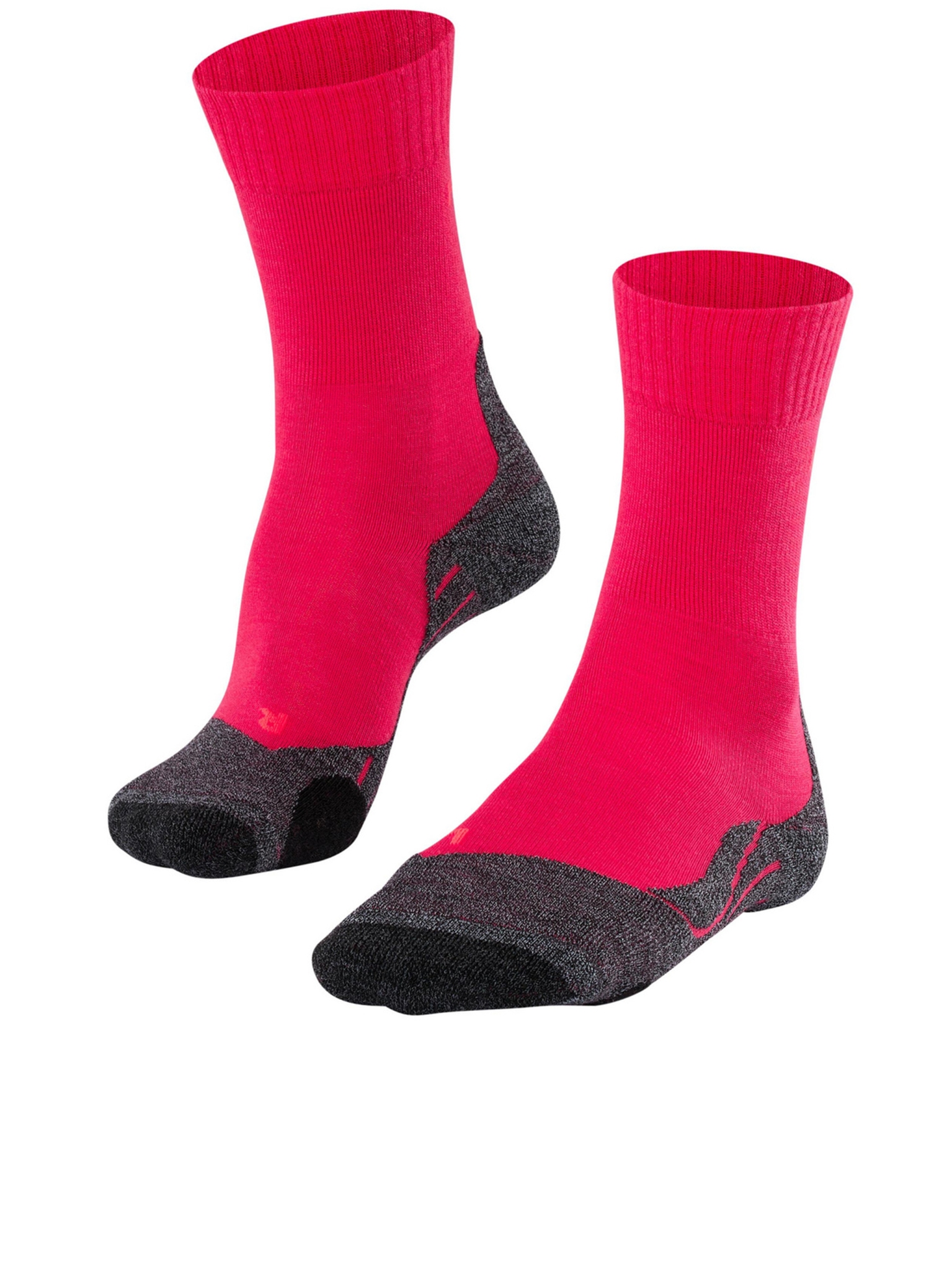[FALKE] Socks SS26 16445