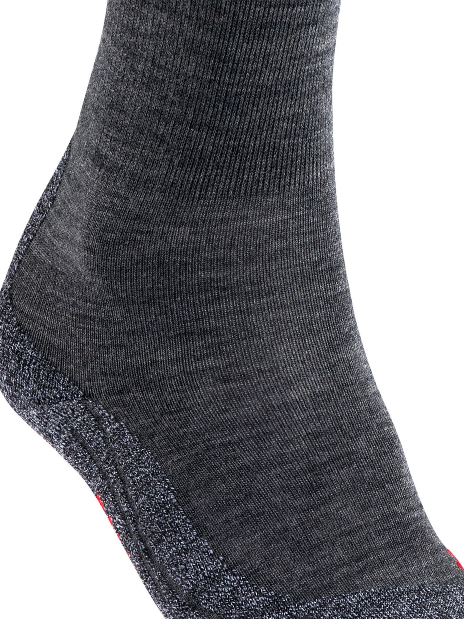 [FALKE] Socks SS26 16445