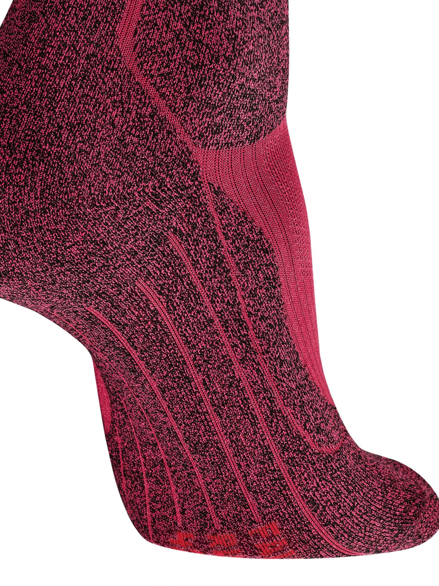 [FALKE] Socks SS26 16794