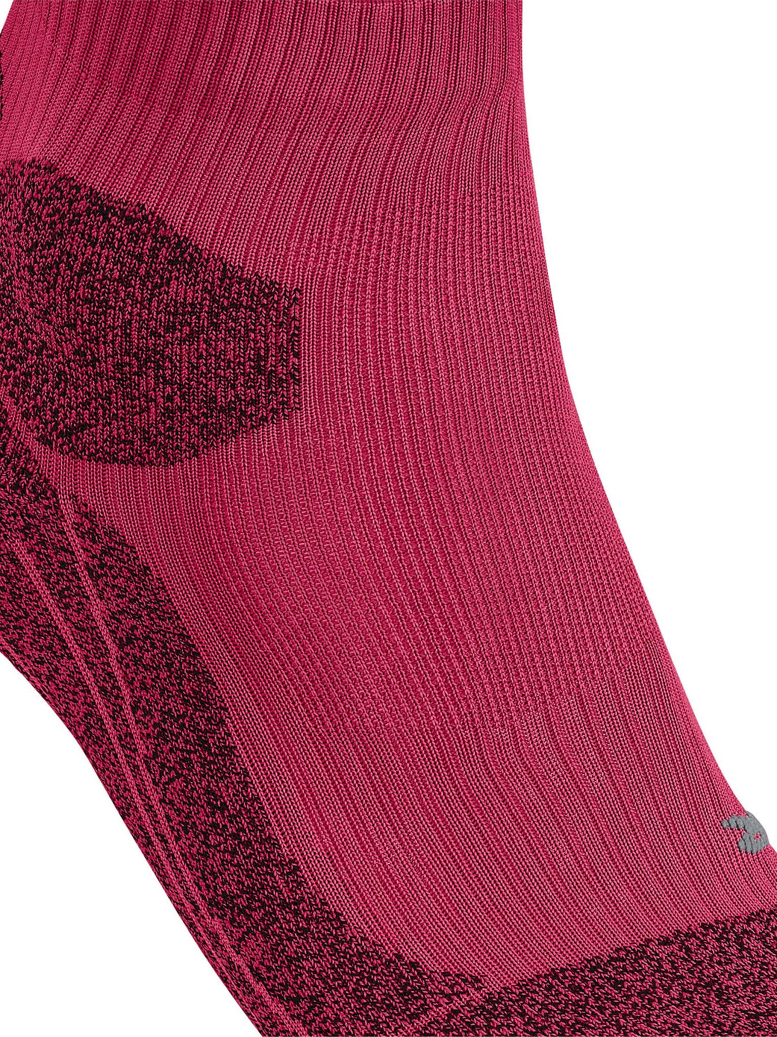 [FALKE] Socks SS26 16794