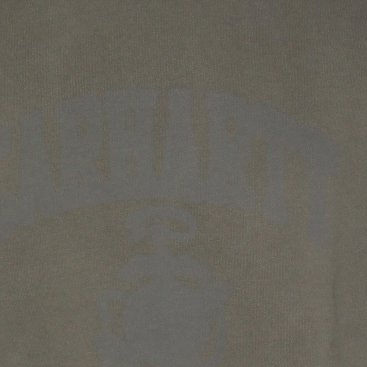 [CARHARTT WIP] Sweatshirt SS26 I0360656360