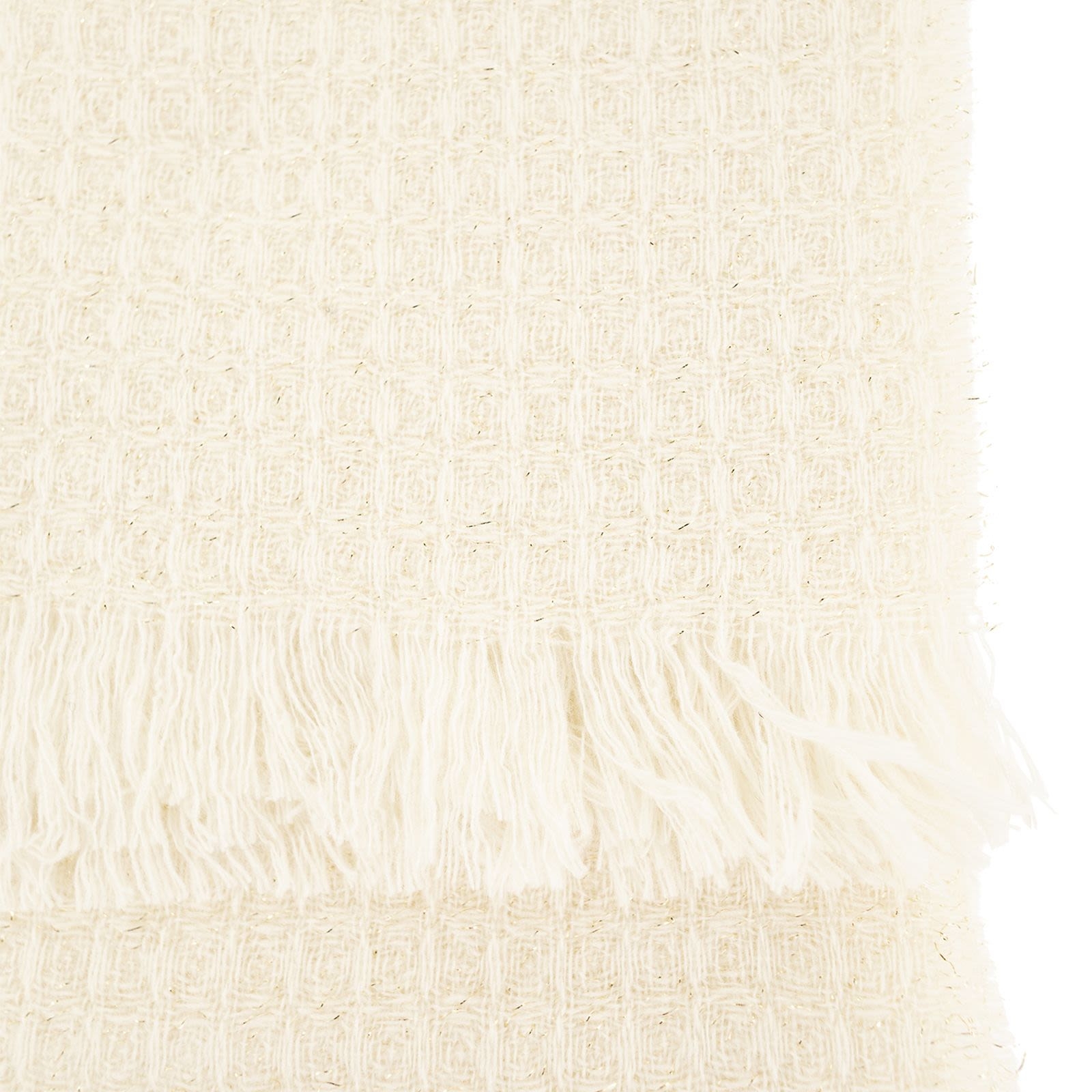 [Fabiana Filippi] Scarf FW26 SAD216A874M526 0145