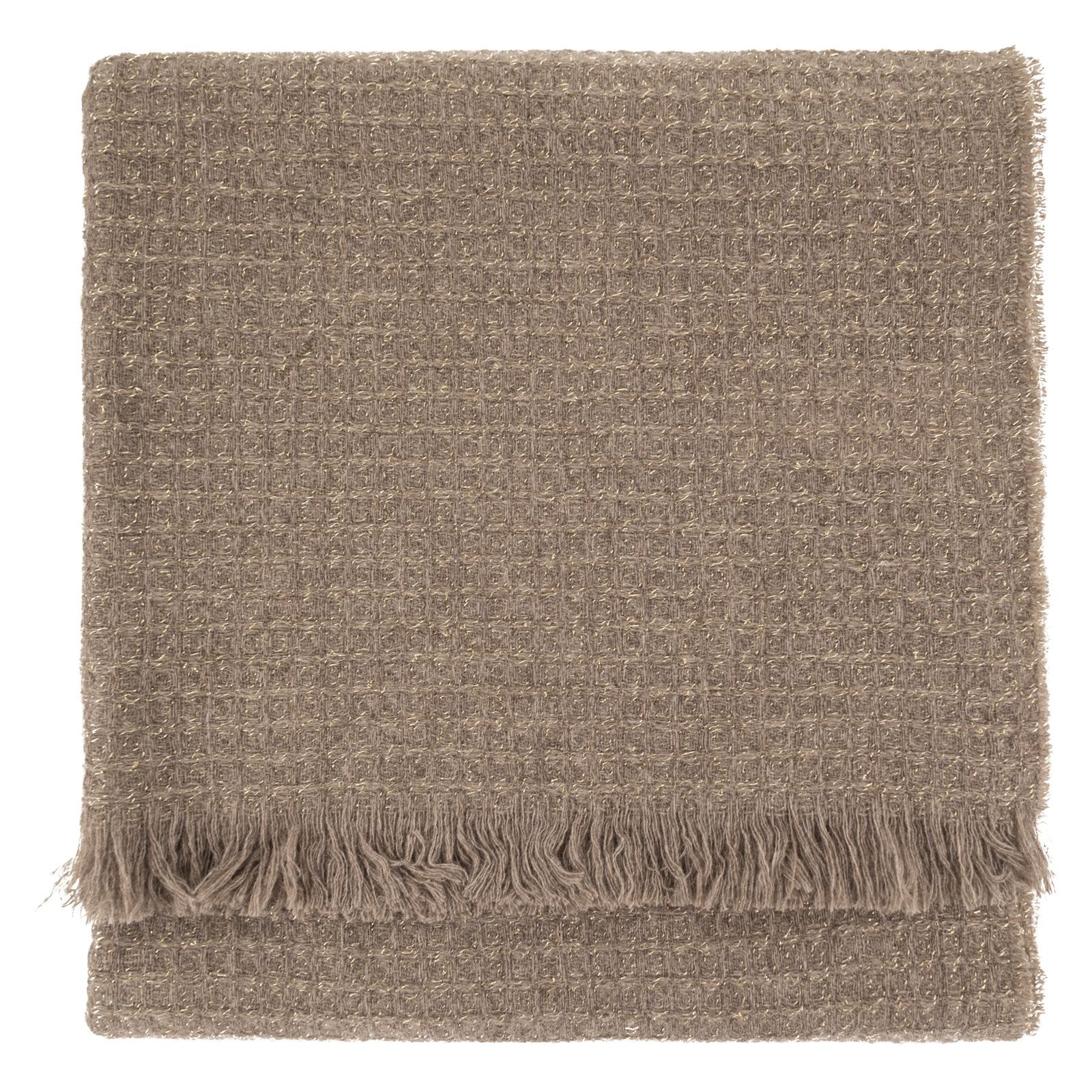 [Fabiana Filippi] Scarf FW26 SAD216A874M526 0165