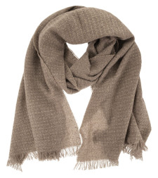[Fabiana Filippi] Scarf FW26 SAD216A874M526 0165