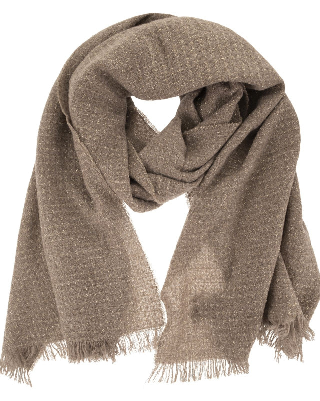 [Fabiana Filippi] Scarf FW26 SAD216A874M526 0165