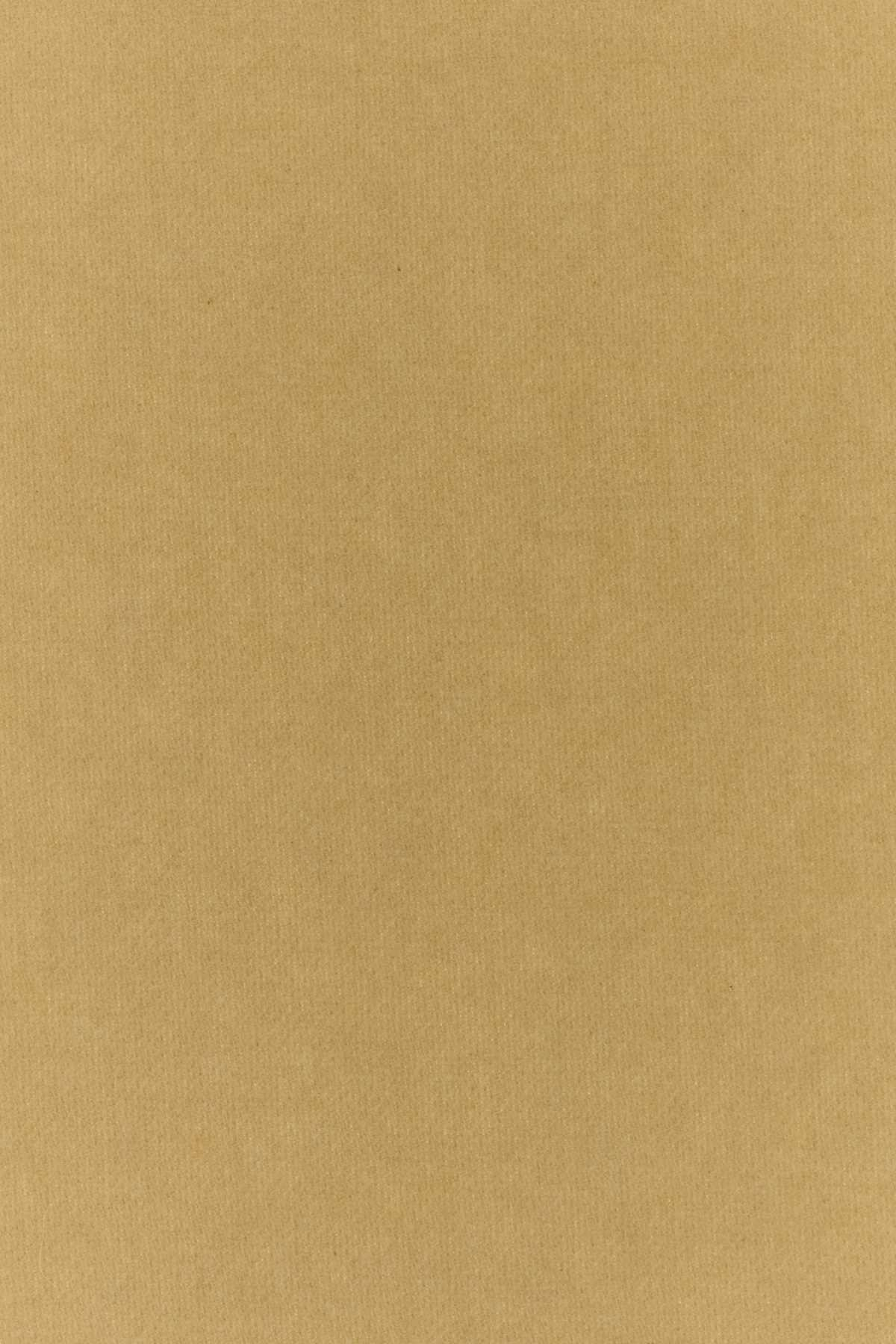 [Burberry] Scarf SS26 8119568 B9719