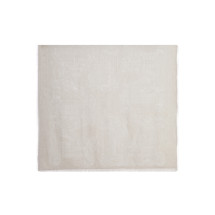 [Max Mara] Scarf SS26 2614541032600001 WHITE IVORY
