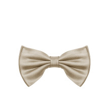 [NICKY] Tie FW26 GALLECUBOA8X10CHAMPAGNE