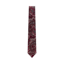 [Gabriele Pasini] Tie SS26 690646113 02