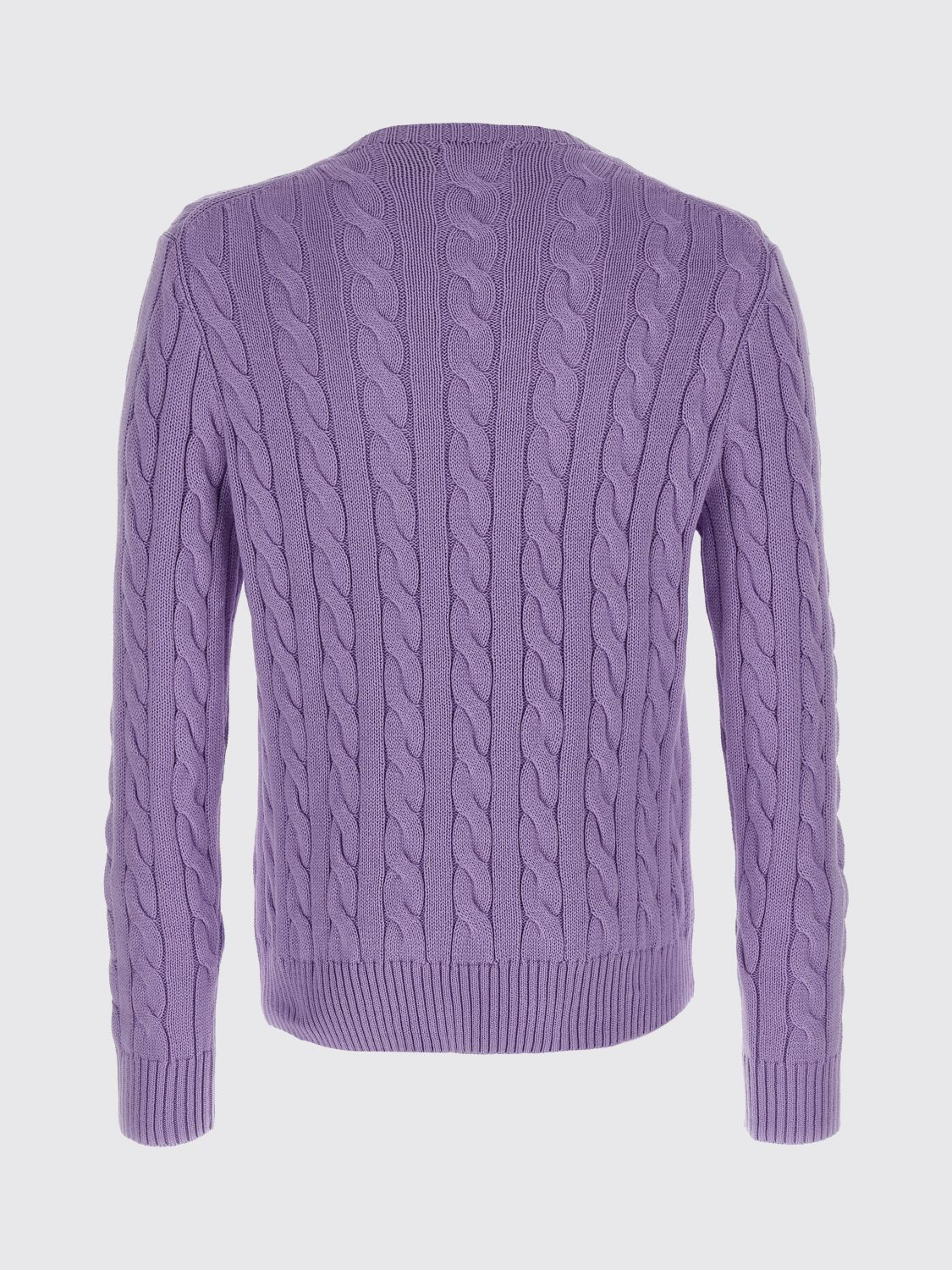 [Polo Ralph Lauren] Knitwear SS26 710775885 531