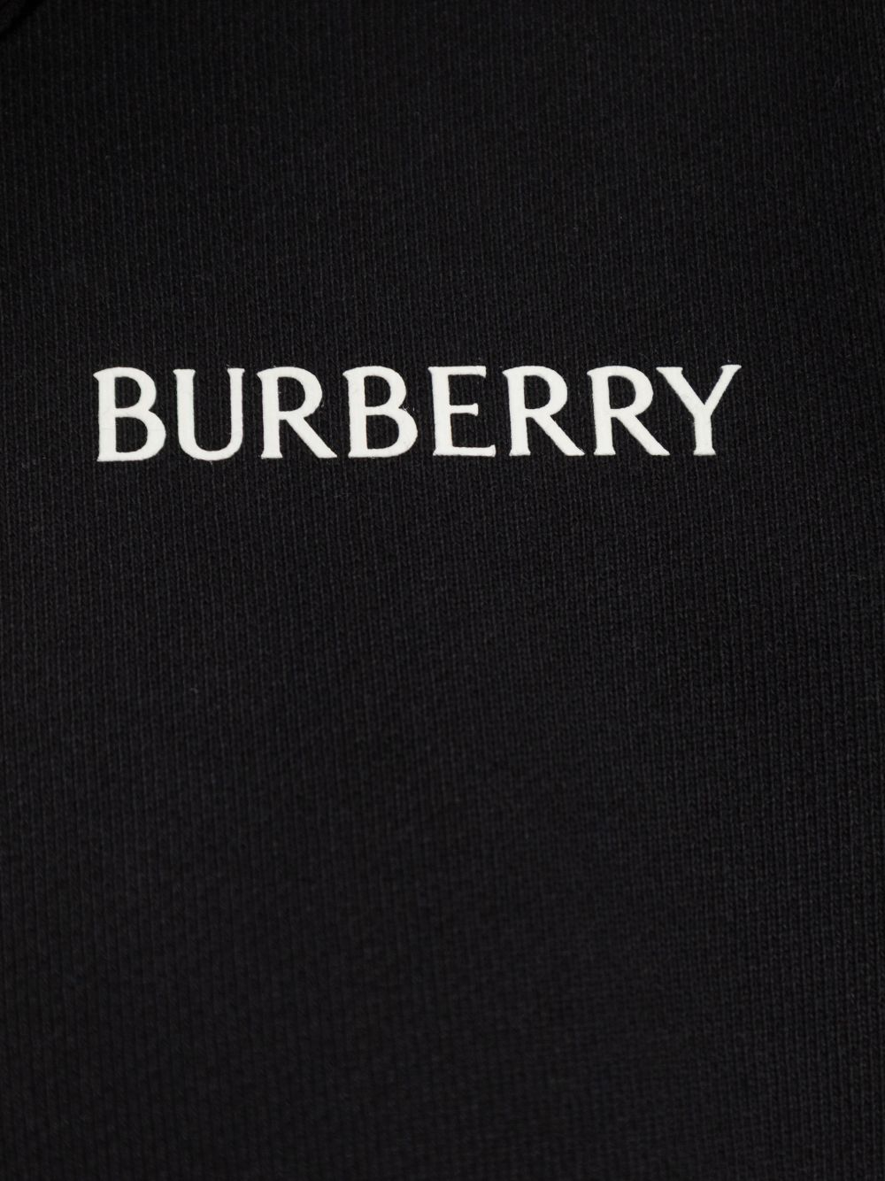 [Burberry] Hoodie SS26 8118980A1189